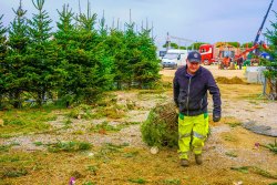 Village de Noël du Barcarès 2025 - 2026 : semaine 44