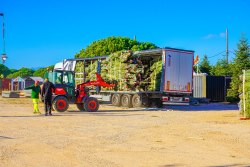 Village de Noël du Barcarès 2025 - 2026 : semaine 44